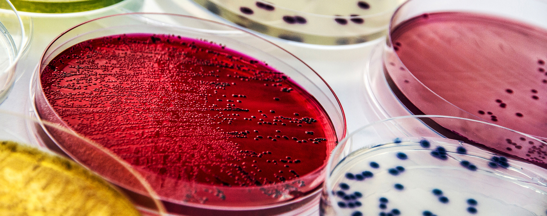 性视频播放免费视频